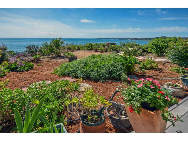 721 Seacliff Drive Aptos, CA 95003 - Photo 11 of 15 a view of a flower in a garden