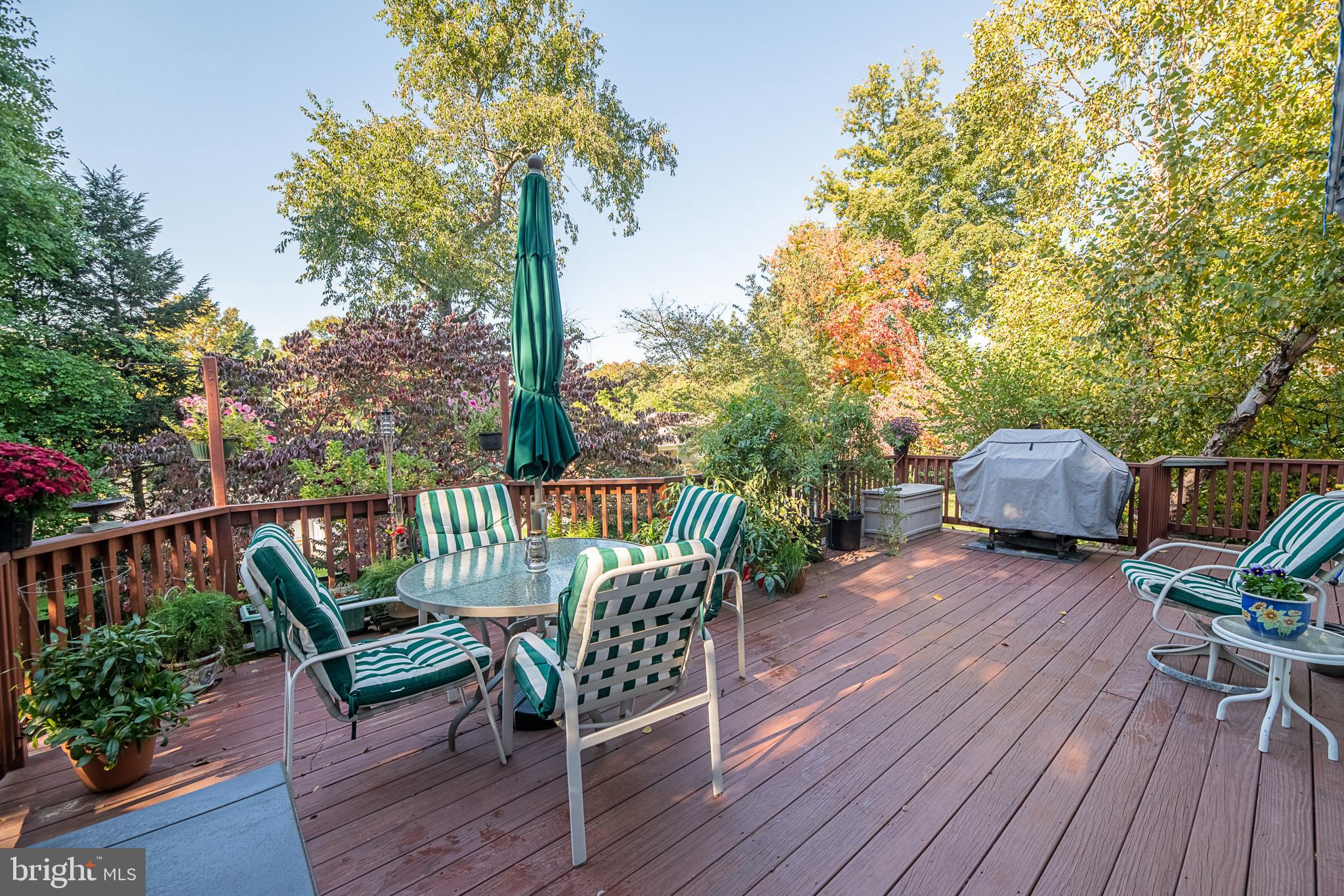 1830 Opalocka Drive McLean, VA 22101 - Photo 55 of 69