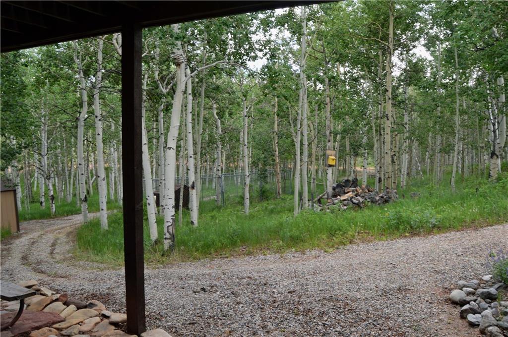 123 Lumberjack Road Fairplay, CO 80440 - Photo 14 of 29 Gallery Image 14