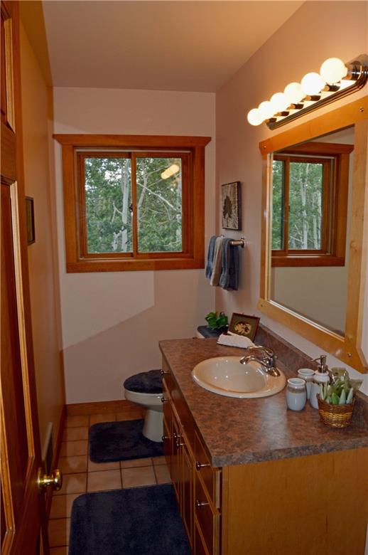 123 Lumberjack Road Fairplay, CO 80440 - Photo 28 of 29 Gallery Image 28