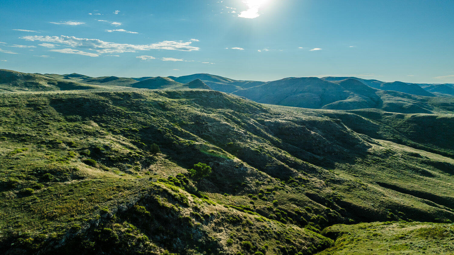 041_dji_20250813074356_0059_d_178
