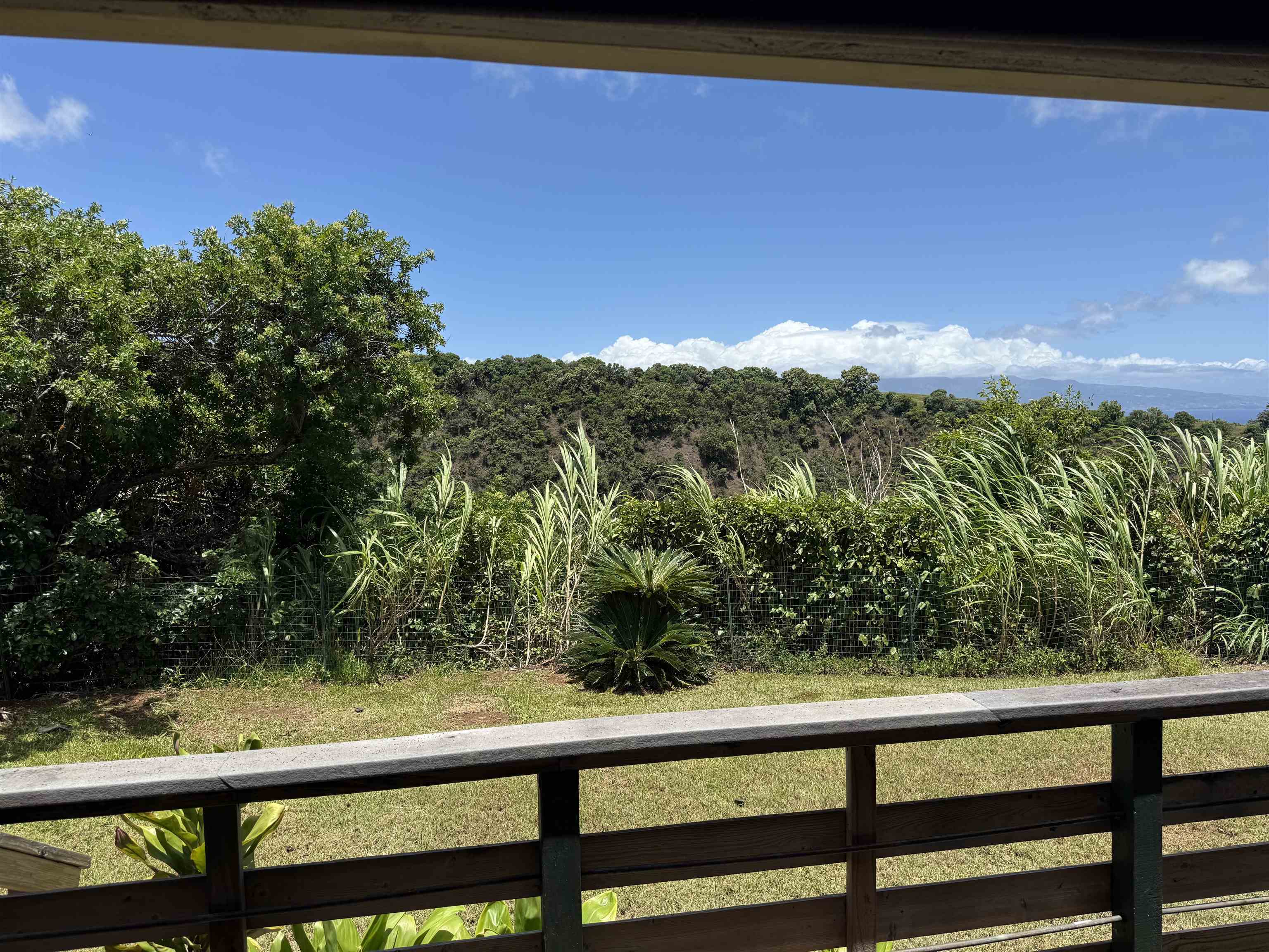1490 Kokomo Road Haiku, HI 96708 - Photo 8 of 19