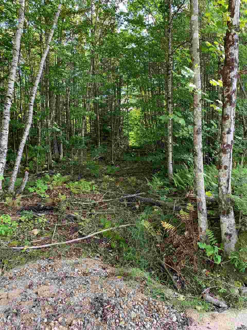 0 Wise Road, Unit PERO LOT Campton, NH 03223 - Photo 3 of 3 Gallery Image 3