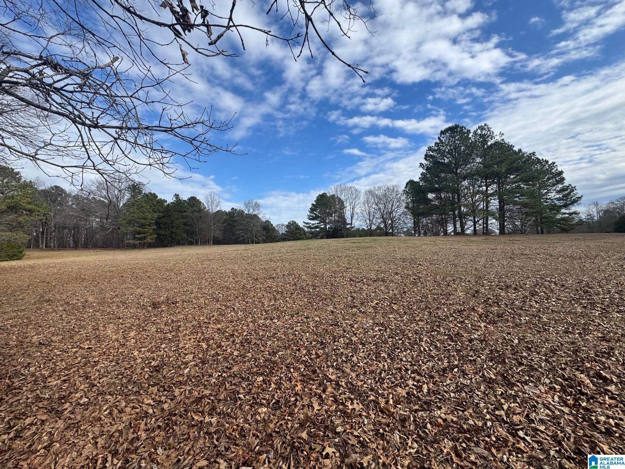 3953 Logan Martin Dam Road Cropwell, AL 35054 - Photo 75 of 99