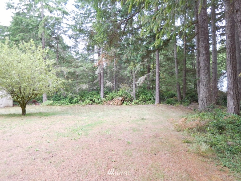 5983 Southeast Alpine Road Olalla, WA 98359 - Photo 4 of 10 Gallery Image 4