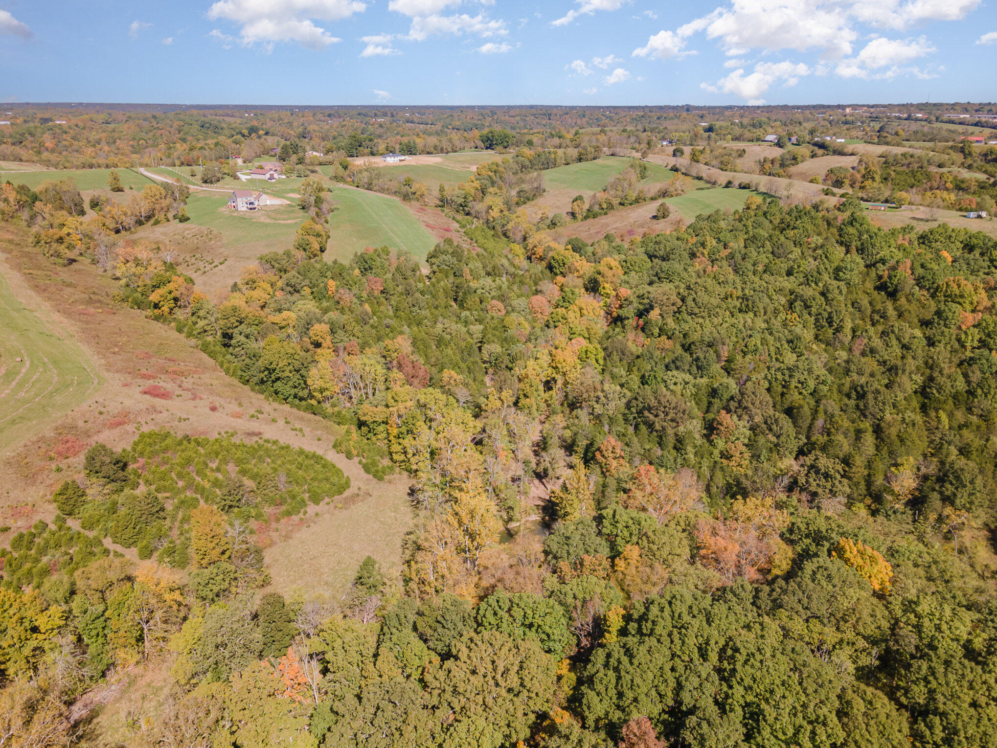 3910 Taft Highway Dry Ridge, KY 41035 - Photo 44 of 50