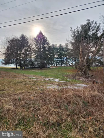 a view of a field with an trees