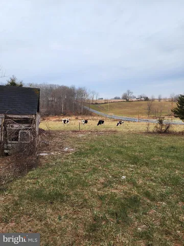 a view of a house with backyard and trees