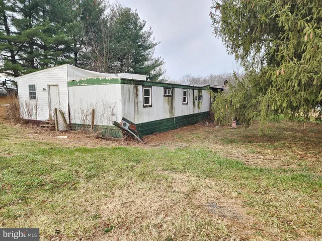 a view of a yard with trees
