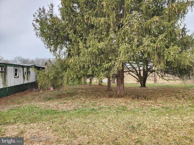 a view of outdoor space and yard