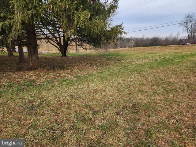 a view of a room with a yard and a large tree