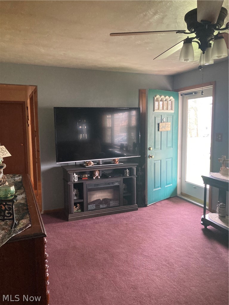9619 Struthers Road New Middletown, OH 44442 - Photo 5 of 23 Gallery Image 5