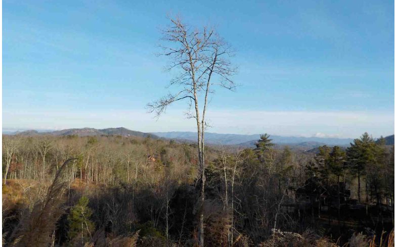 Lot51 Colonial Loop Murphy, NC 28906 - Photo 1 of 1 a view of a forest with a mountain