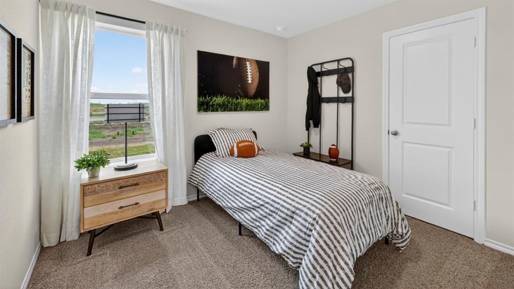 3514 Spring Time Street Terrell, TX 75126 - Photo 19 of 26 Spacious room featuring carpeting, a multi-pane window with white drapes, and a white paneled door