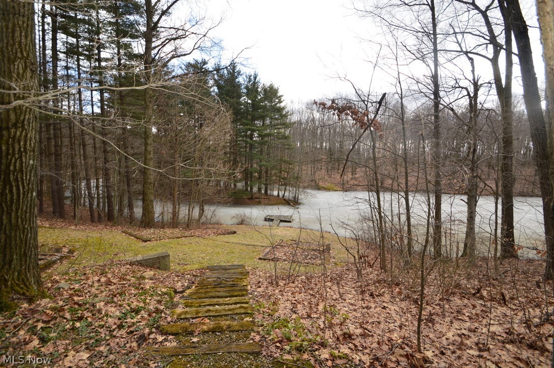 19313 Neff Road Litchfield, OH 44253 - Photo 29 of 32 Gallery Image 29
