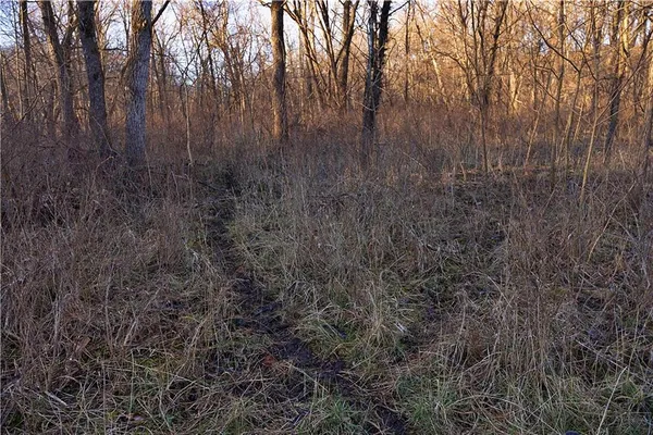 $1,500,000 | State Route, Rushville, MO 64484