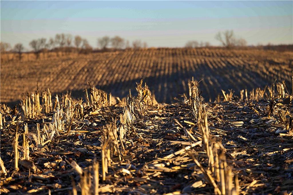 State Route Rushville, MO 64484 - Photo 15 of 54