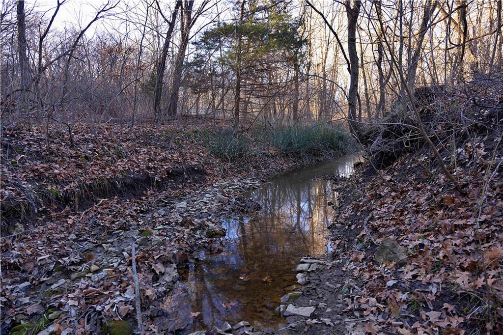 State Route Rushville, MO 64484 - Photo 20 of 54