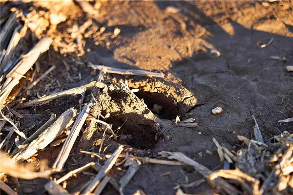 $1,500,000 | State Route, Rushville, MO 64484