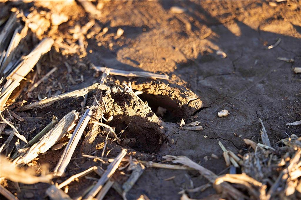 State Route Rushville, MO 64484 - Photo 24 of 54