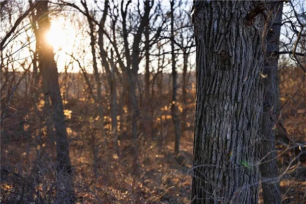 $1,500,000 | State Route, Rushville, MO 64484