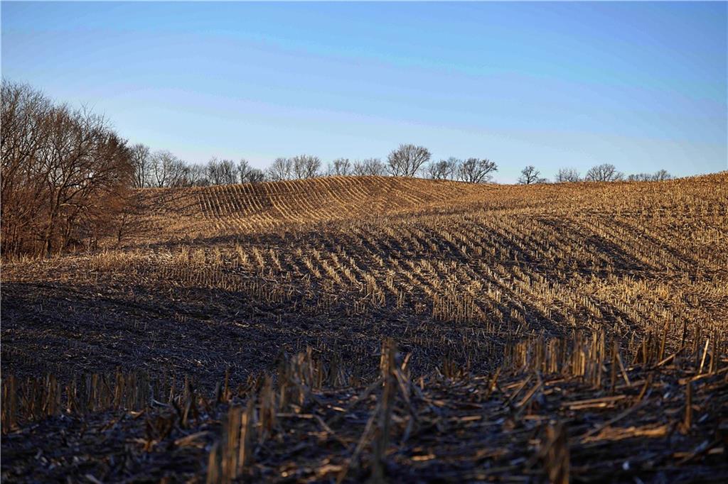 State Route Rushville, MO 64484 - Photo 26 of 54
