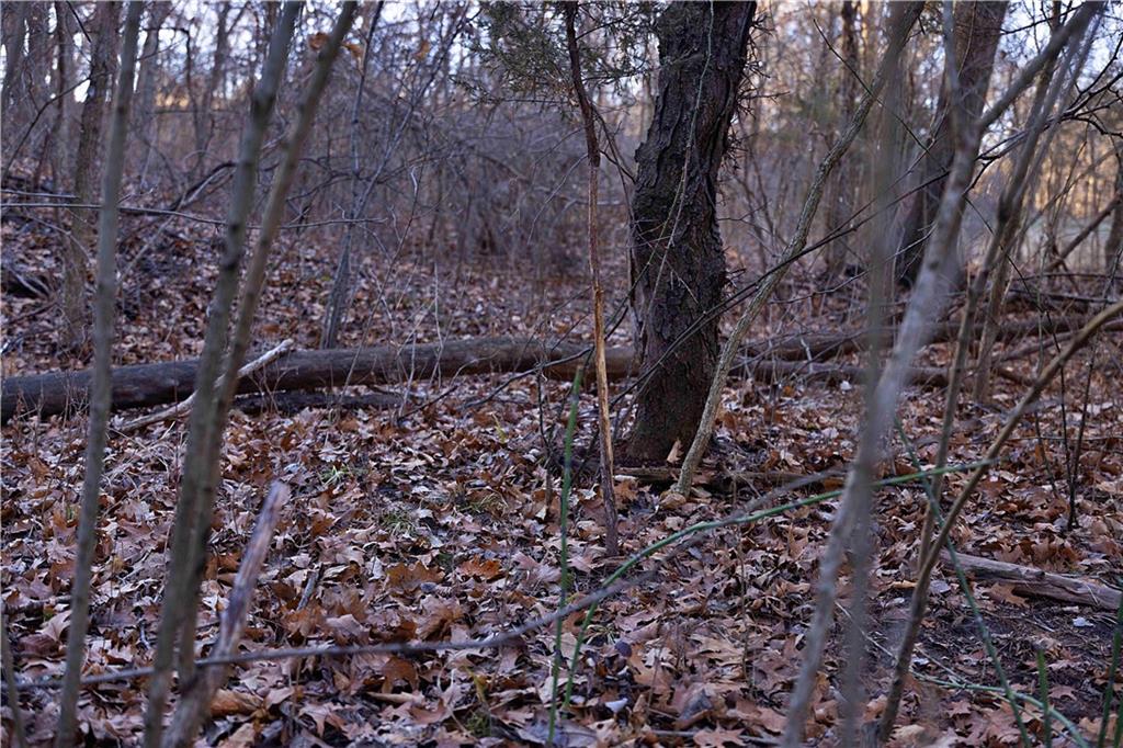 State Route Rushville, MO 64484 - Photo 29 of 54