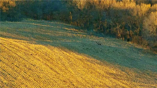 $1,500,000 | State Route, Rushville, MO 64484