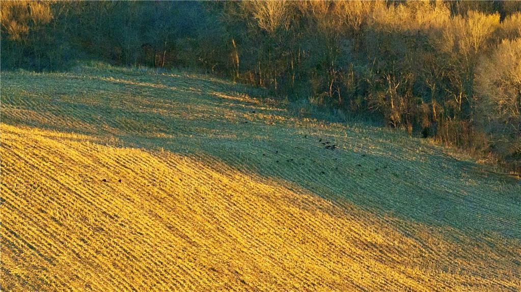 State Route Rushville, MO 64484 - Photo 33 of 54