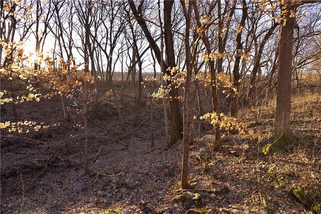 State Route Rushville, MO 64484 - Photo 37 of 54