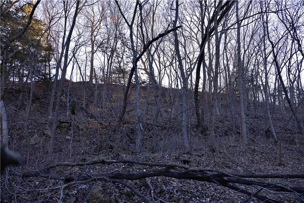 $1,500,000 | State Route, Rushville, MO 64484