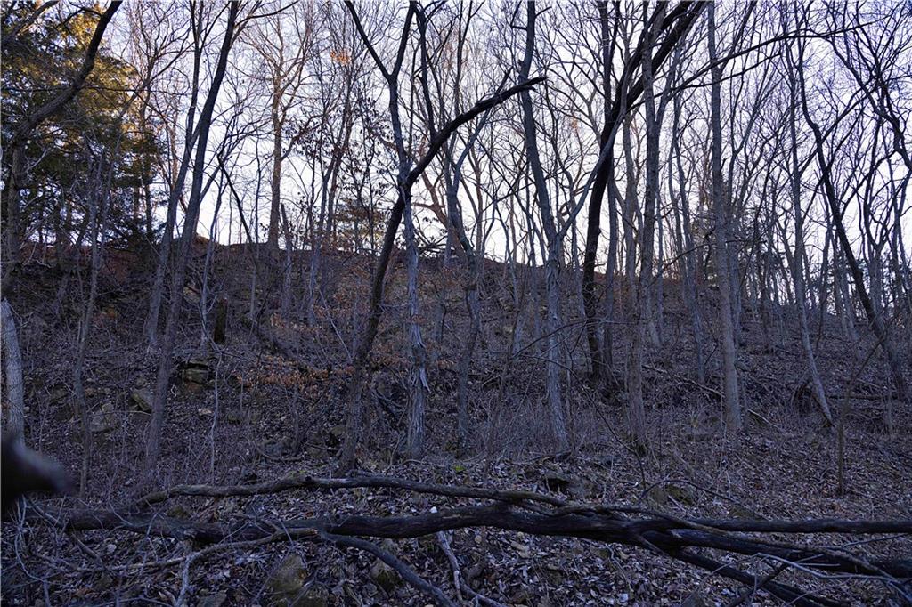 State Route Rushville, MO 64484 - Photo 38 of 54