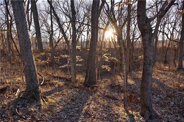 $1,500,000 | State Route, Rushville, MO 64484