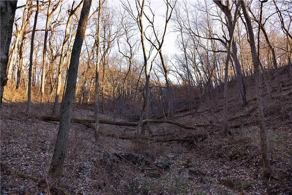 $1,500,000 | State Route, Rushville, MO 64484