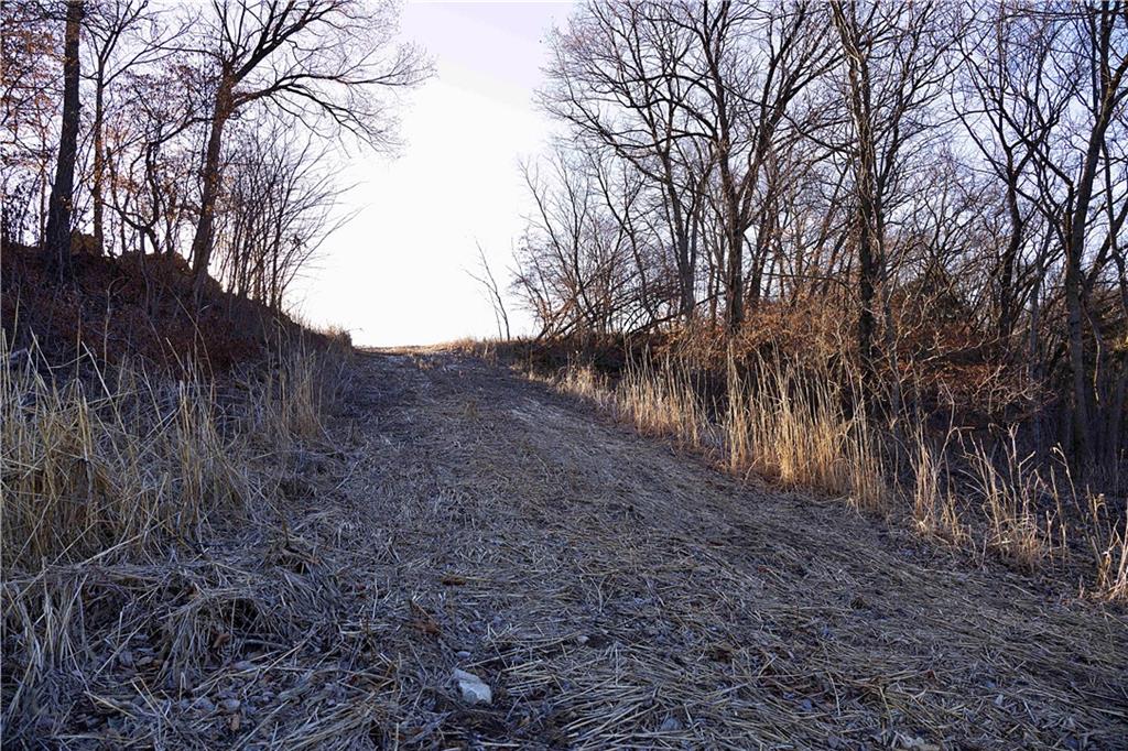 State Route Rushville, MO 64484 - Photo 45 of 54