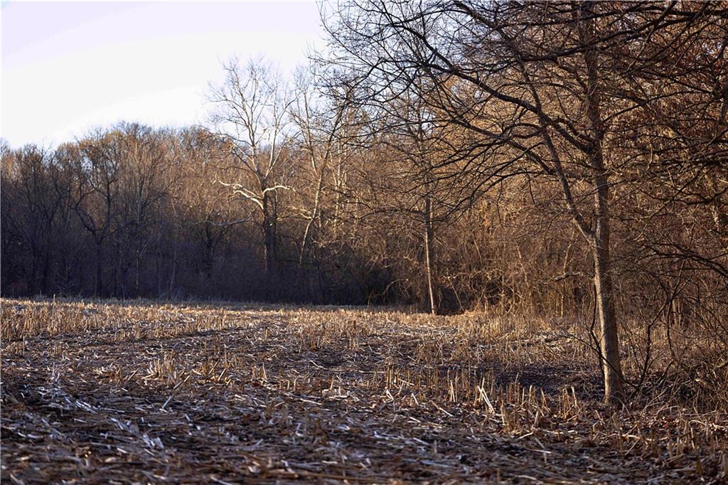 State Route Rushville, MO 64484 - Photo 46 of 54