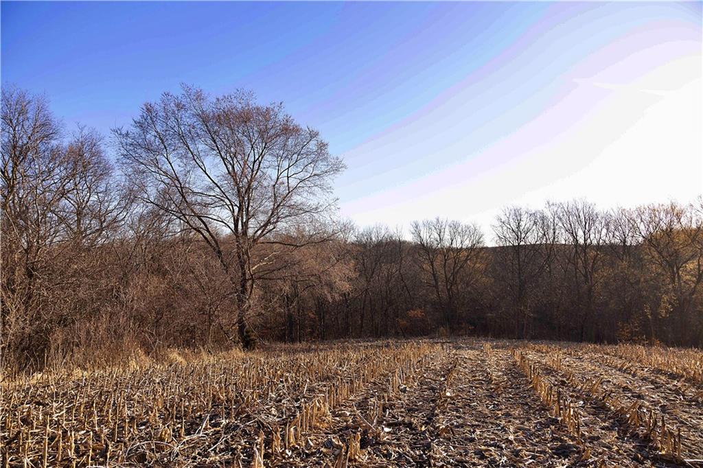 State Route Rushville, MO 64484 - Photo 49 of 54