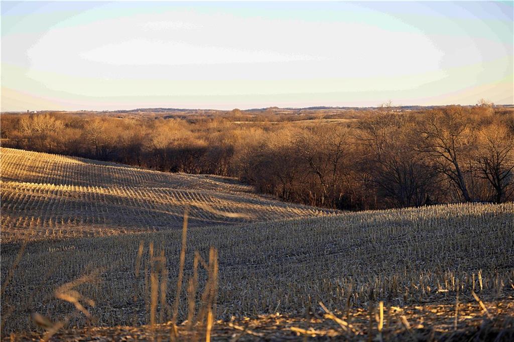 State Route Rushville, MO 64484 - Photo 6 of 54