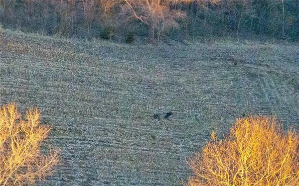 $1,500,000 | State Route, Rushville, MO 64484