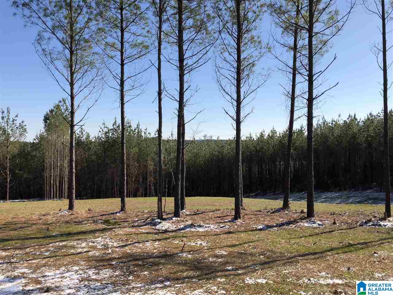 22 Highway 69 Chelsea Al, Unit 17 Chelsea, AL 35043 - Photo 1 of 5