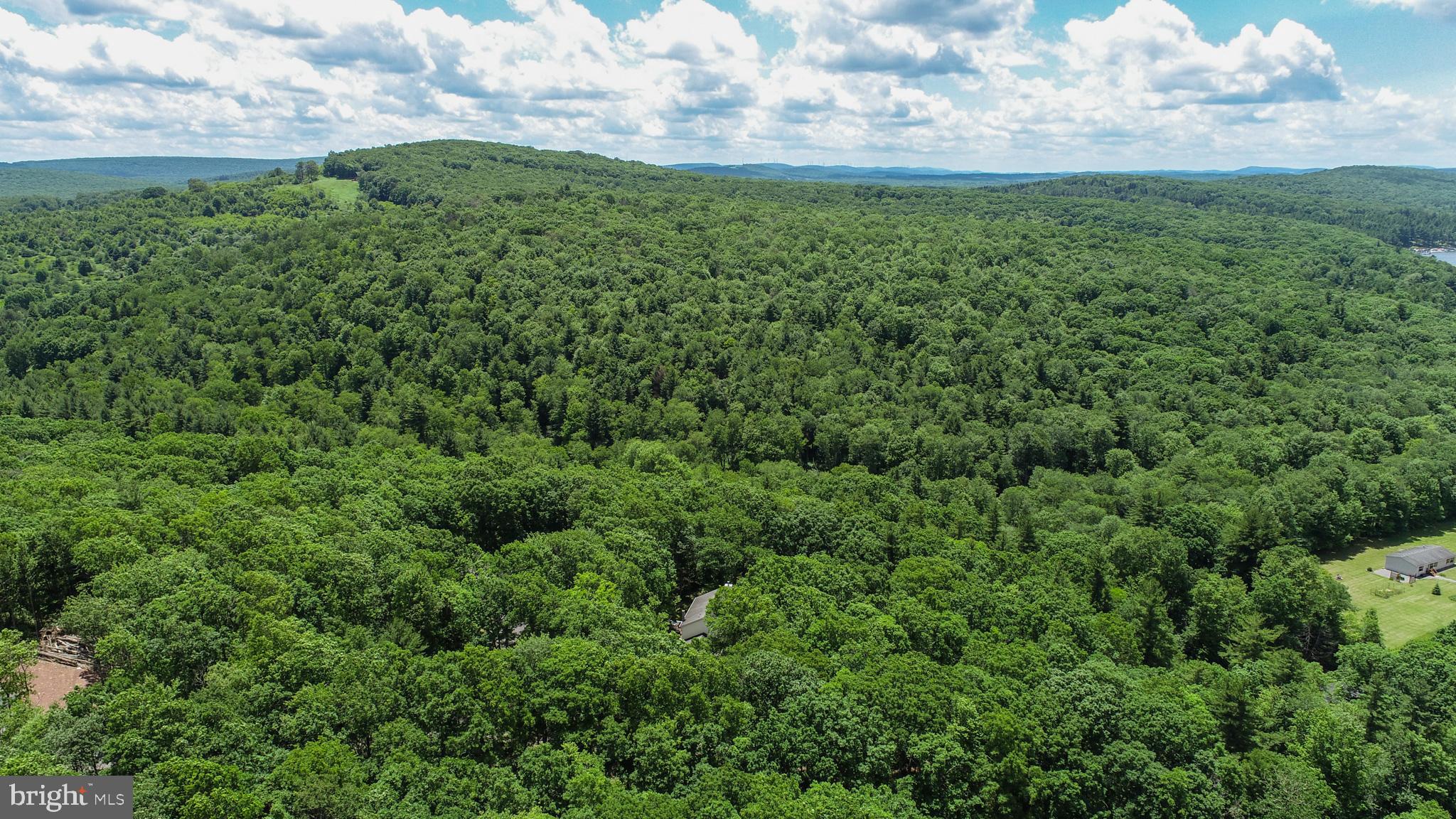 North Glade Road Swanton, MD 21561 - Photo 2 of 16