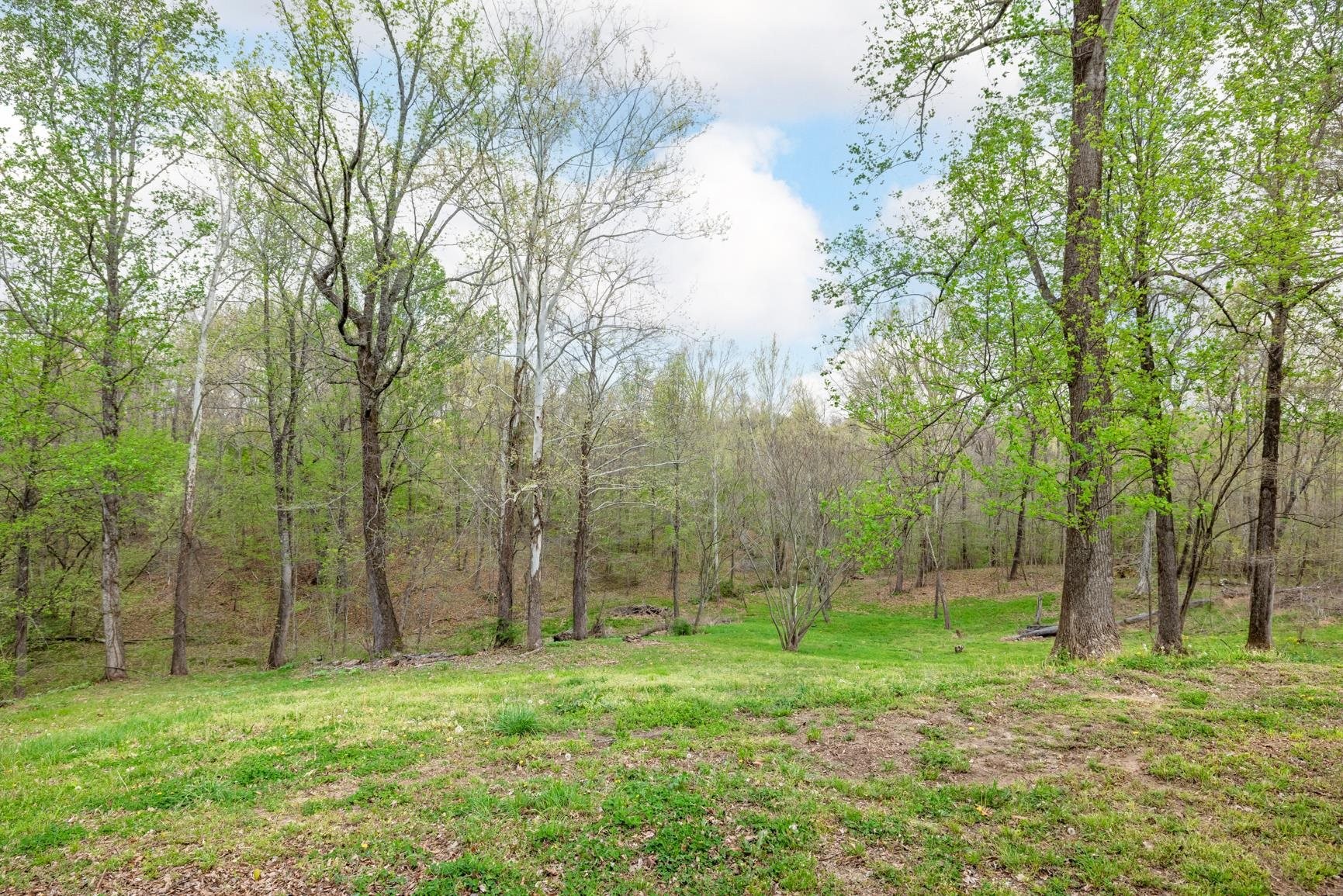 1388 Double Bridges Road Munford, TN 38058 - Photo 26 of 31 a view of outdoor space with green space