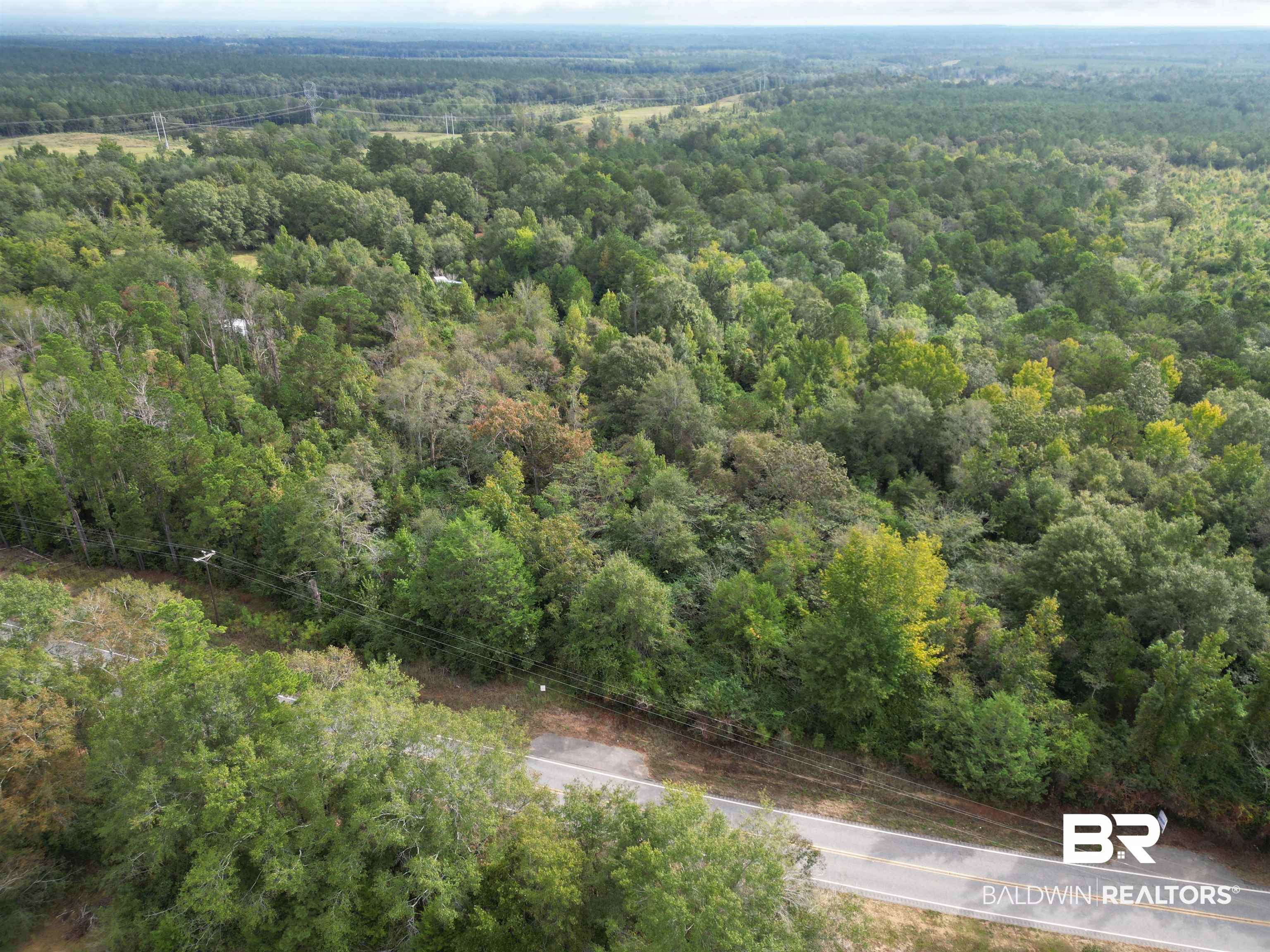 17606 Highway 41 Brewton, AL 36426 - Photo 1 of 13 Aerial view