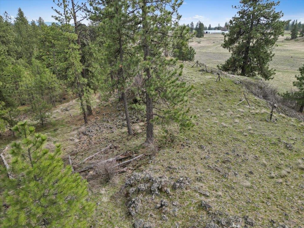 Nka North Flint Road Spokane, WA 99224 - Photo 12 of 18