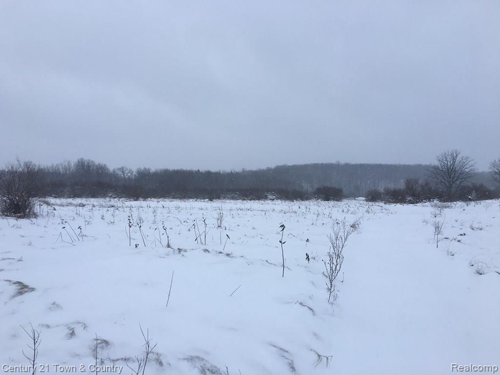 0 Hosner Road Oxford, MI 48371 - Photo 3 of 9 C:\Users\jblondell\Desktop\3.jpg