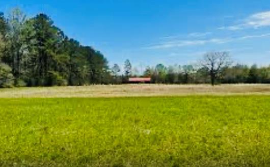 0 Dunhurst Long Road Picayune, MS 39466 - Photo 1 of 1 Gallery Image 1