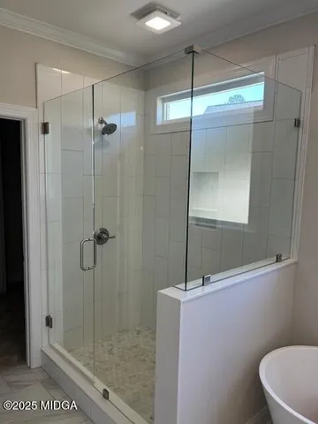 a bathroom with a shower and toilet