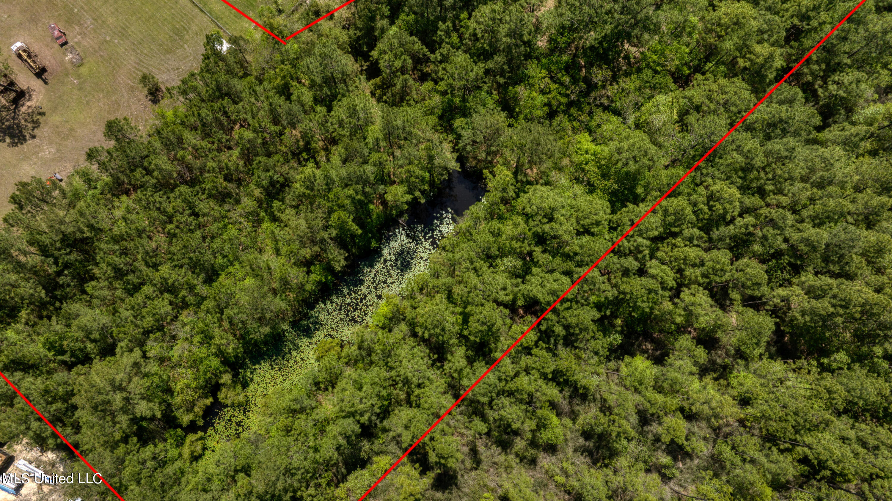 0 Stanley Road Vancleave, MS 39565 - Photo 16 of 17 Back Pond in the Woods