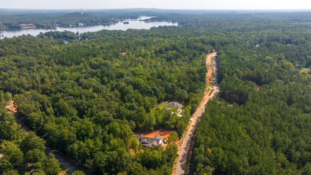 110 Lee Road Valley, AL 36874 - Photo 2 of 20