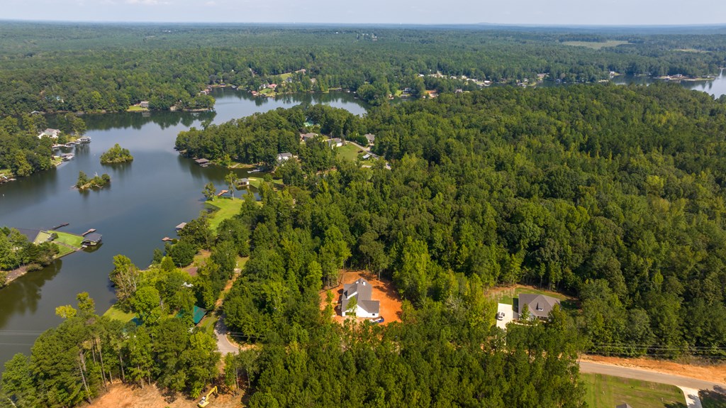 110 Lee Road Valley, AL 36874 - Photo 4 of 20